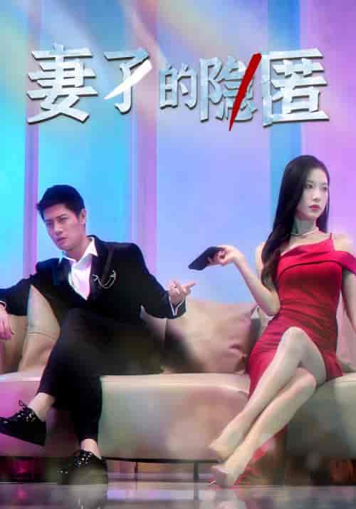 妻子的隐匿（73集全）赵光年＆潘娜娜 - 海之城短剧