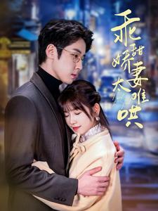 乖甜娇妻太难哄（100集全）曲笑孝 - 海之城短剧