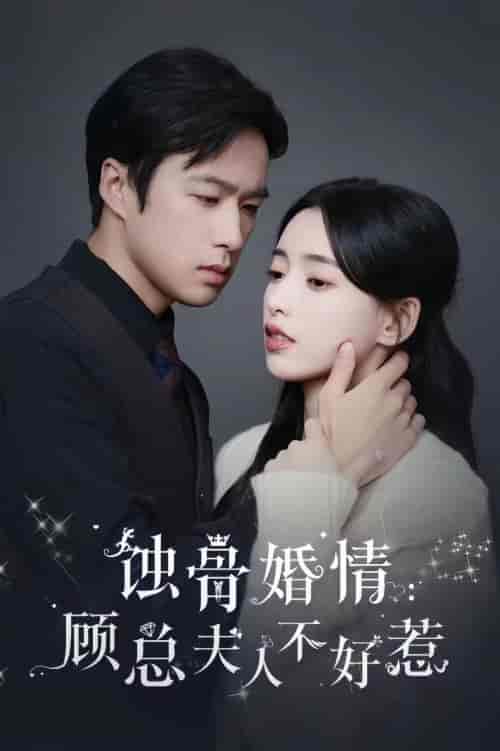 蚀骨婚情：顾总夫人不好惹（93集） - 海之城短剧