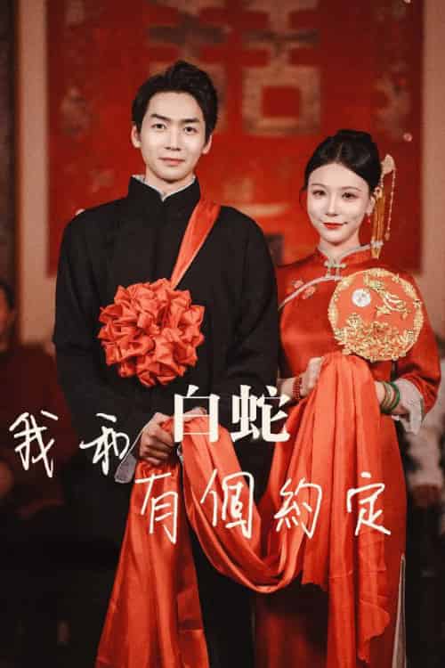 我和白蛇有个约定（65集全） - 海之城短剧