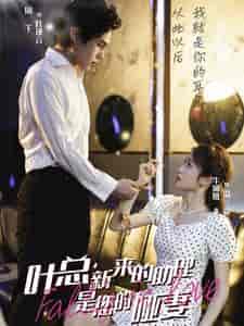 叶总新来的助理是您的哑妻（45集全） - 海之城短剧