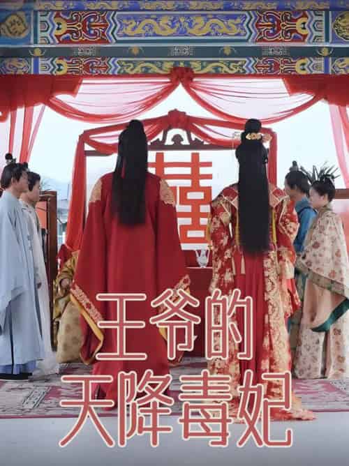 王爷的天降毒妃（73集全）樊纾宁 - 海之城短剧