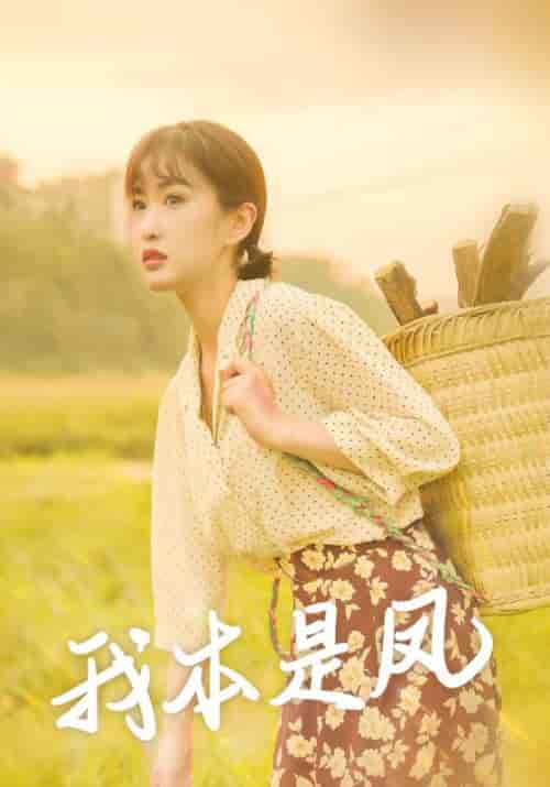 我本是凤（66集全）张亮＆秦芳 - 海之城短剧