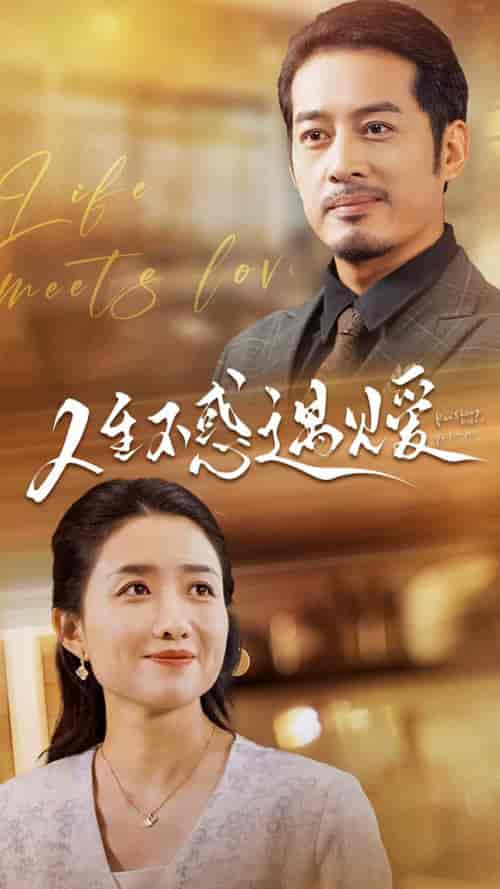 人生不惑遇见爱＆中年闪婚老伴竟是全国首富（80集） - 海之城短剧