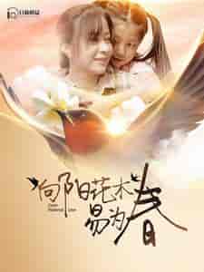 向阳花木易为春（101集） - 海之城短剧