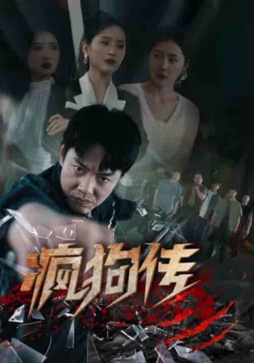 疯狗传（78集）起司＆海霞＆如意＆千歆 - 海之城短剧