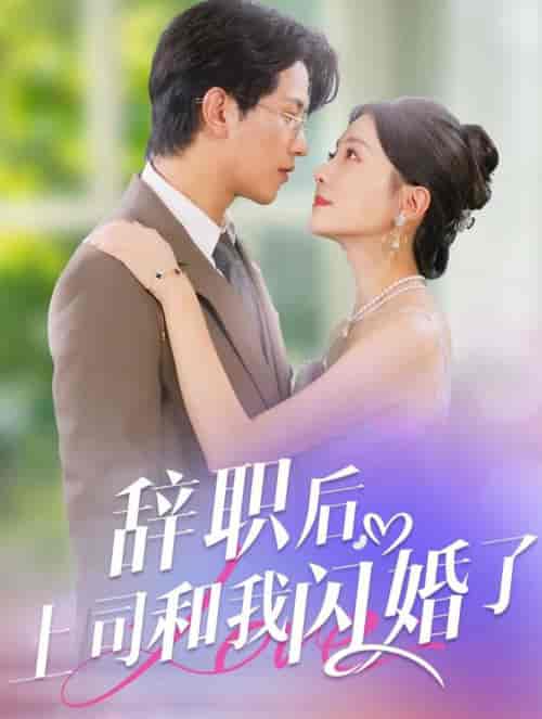 辞职后上司和我闪婚了（71集全）李刘朋＆李欣怡 - 海之城短剧