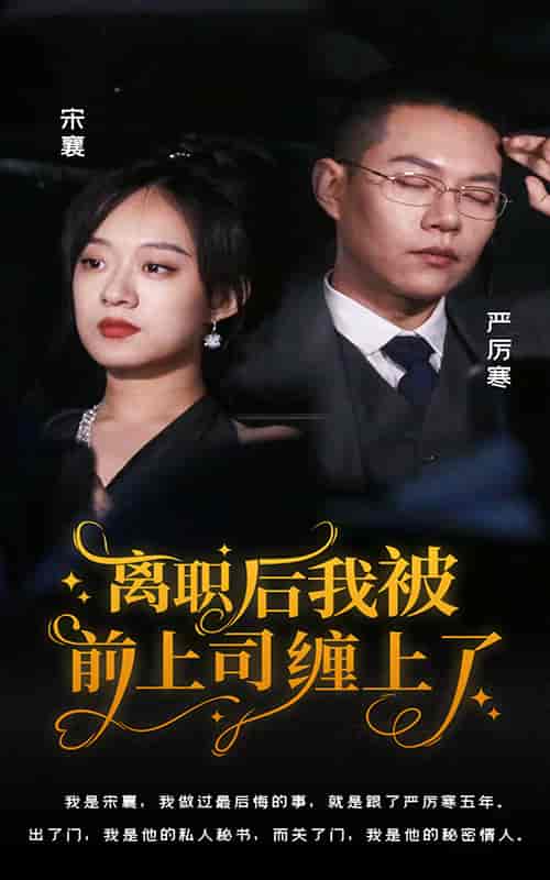 离职后，我被前上司缠上了（100集）侯程月 - 海之城短剧