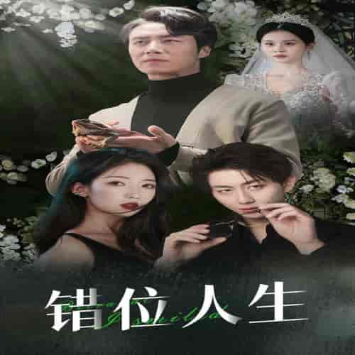 错位人生＆养大他人的儿子后我笑了（33集全） - 海之城短剧
