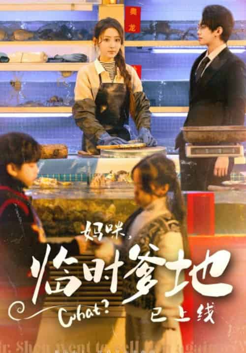 妈咪，临时爸比已上线（79集全）沈清河＆宋听 - 海之城短剧