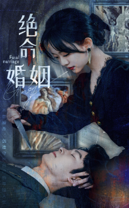 绝命婚姻（90集）侯呈玥 - 海之城短剧