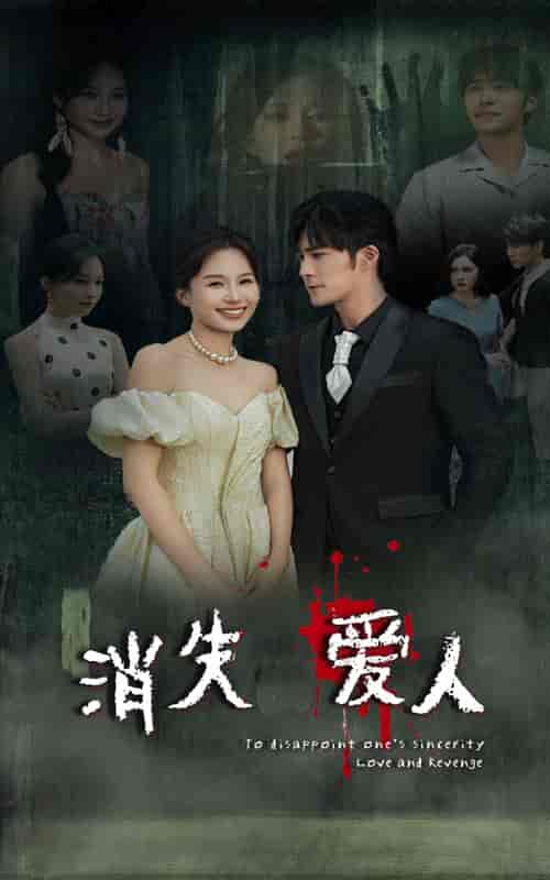 消失爱人（74集） - 海之城短剧
