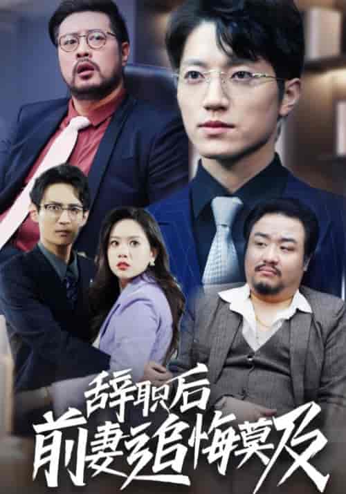 辞职后前妻追悔莫及（30集全）程戌源＆郑燕霞 - 海之城短剧