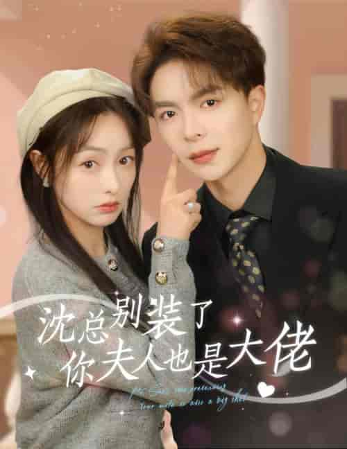 沈总别装了，你夫人也是大佬（86集） - 海之城短剧