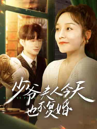 少爷夫人今天也不复婚（100集）李胜楠 - 海之城短剧