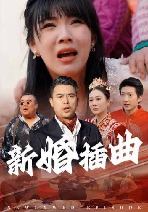 新婚插曲（29集） - 海之城短剧