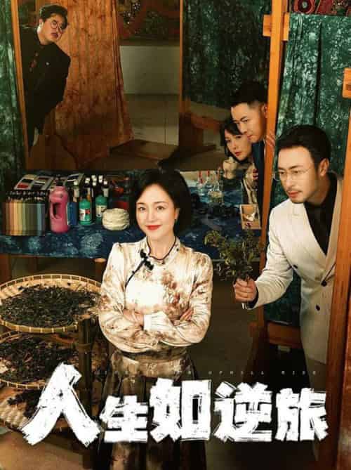 人生如逆旅（54集全）罗雪琼 - 海之城短剧