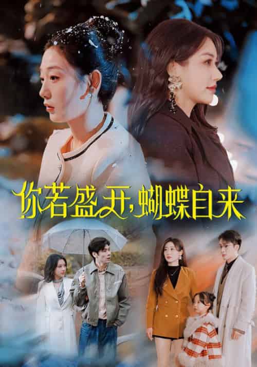 你若盛开，蝴蝶自来（63集全）颜睿寒＆杨欣怡 - 海之城短剧