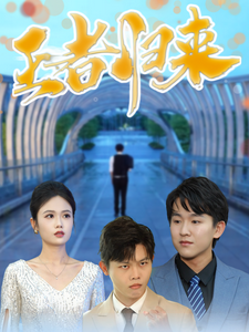 王者归来（41集全） - 海之城短剧