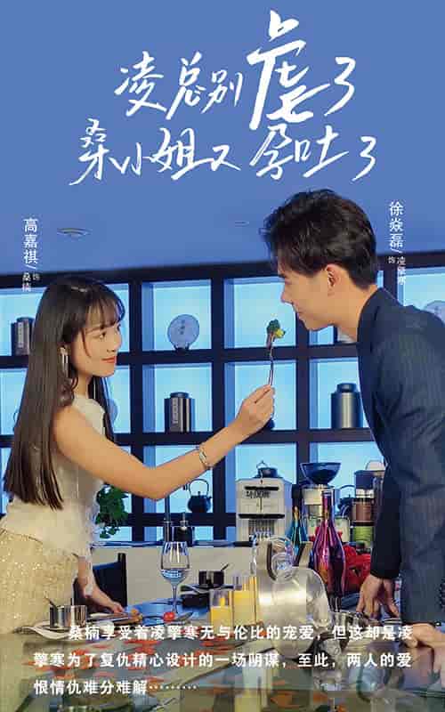 凌总别虐了桑小姐又吐了（102集） - 海之城短剧