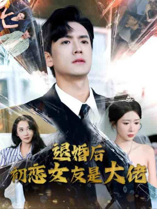 退婚后初恋女友是大佬（101集全） - 海之城短剧