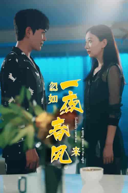 忽如一夜春风来（28集）徐江帅 - 海之城短剧