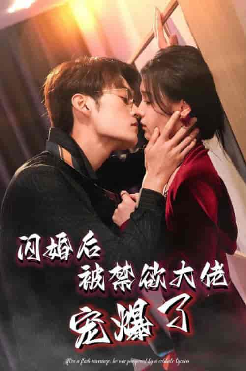 闪婚后被禁欲大佬宠爆了（103集全）臧晓嘉＆左一 - 海之城短剧