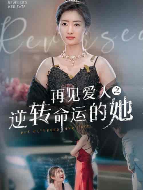再见爱人之逆转命运的她（92集全） - 海之城短剧