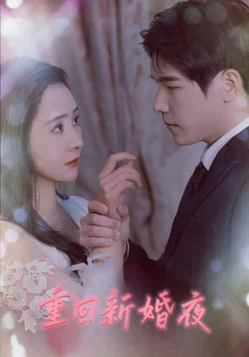重回新婚夜（80集全）顾庭深＆叶清念 - 海之城短剧