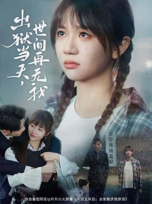 出狱当天，世间再无我（66集全）王阡惠 - 海之城短剧