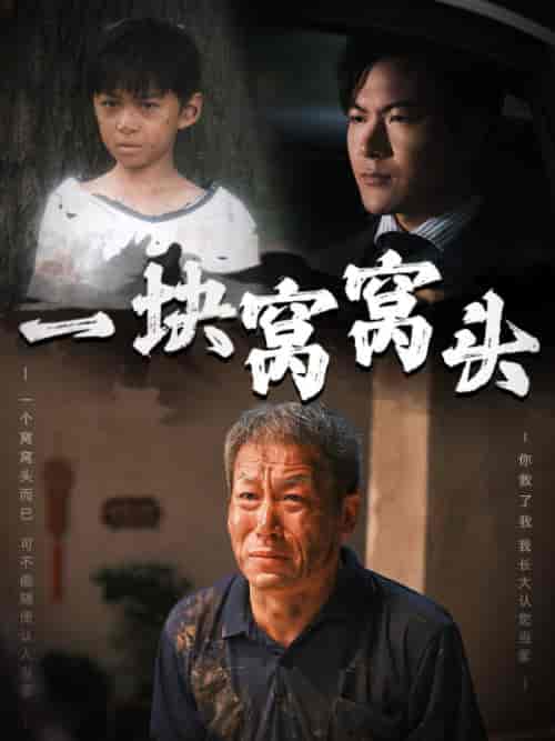 一块窝窝头＆儿子患癌以后（60集全） - 海之城短剧