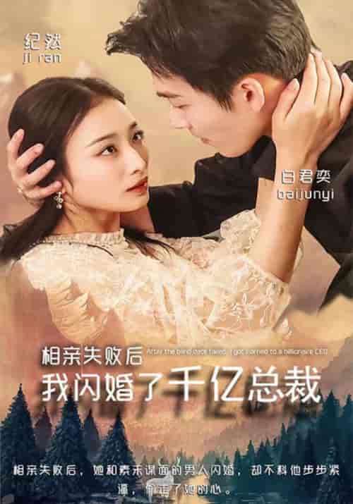 相亲失败后，我闪婚了千亿总裁（96集全）白君奕＆纪然 - 海之城短剧