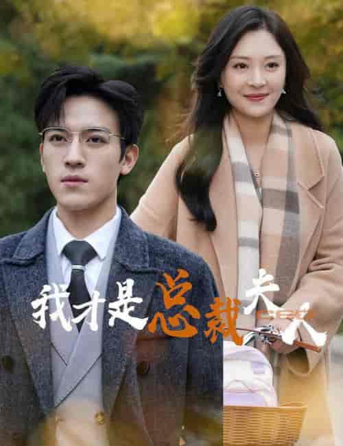 我才是总裁夫人（41集全） - 海之城短剧
