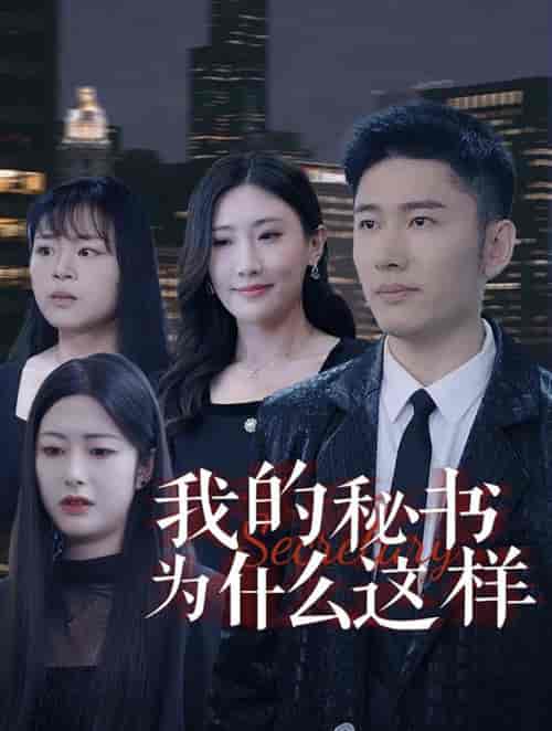 我的秘书为什么这样（94集全） - 海之城短剧