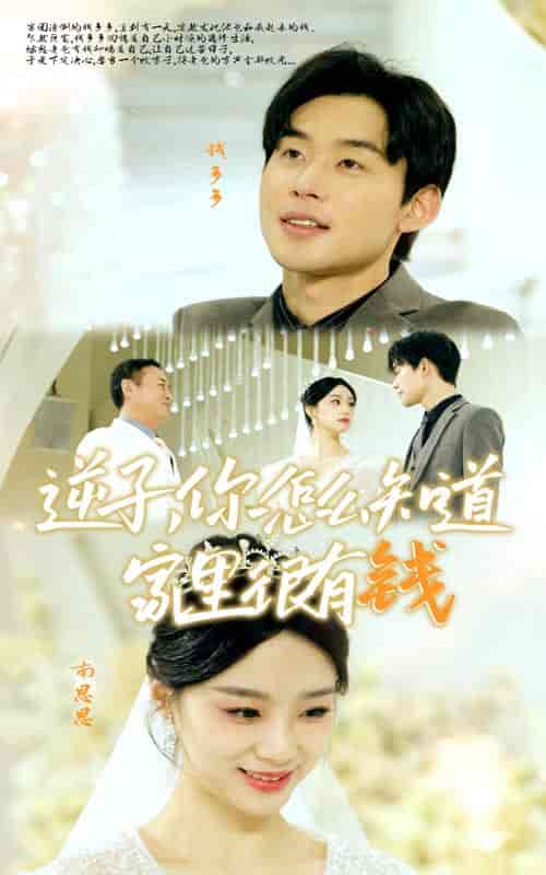 逆子，你怎么知道家里很有钱（95集） - 海之城短剧