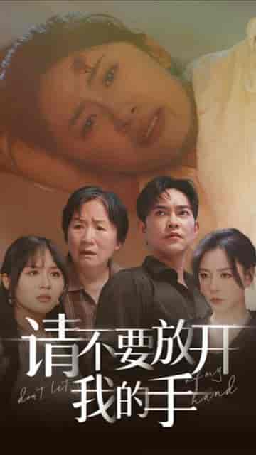 请不要放开我的手（80集） - 海之城短剧
