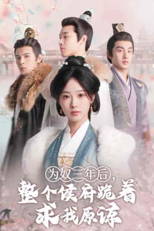 为奴三年后，整个侯府跪着求我原谅（68集全）陆元 - 海之城短剧