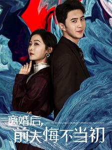 离婚后前夫悔不当初（40集全） - 海之城短剧
