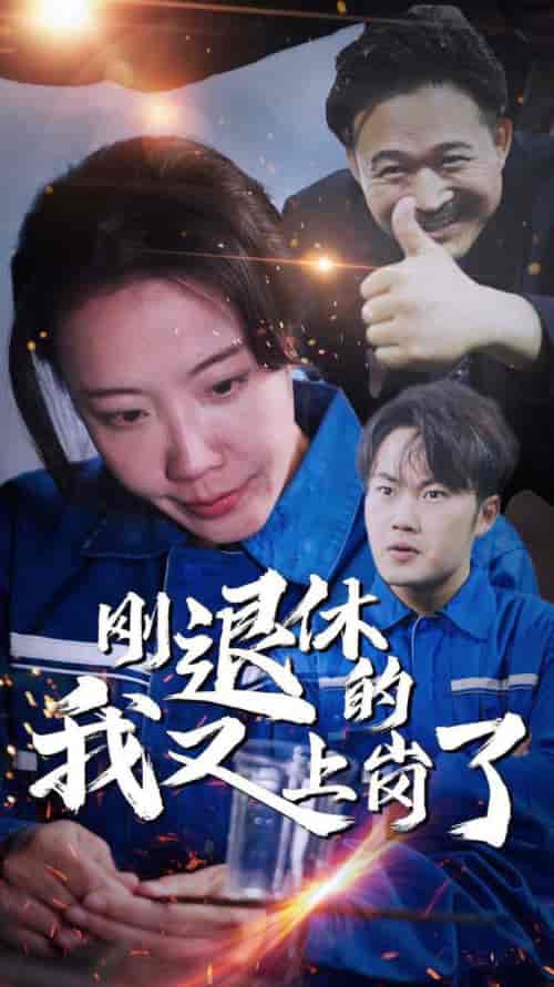 刚退休的我又上岗了（30集全） - 海之城短剧