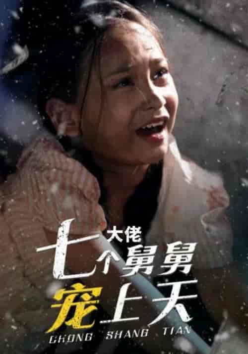 七个大佬舅舅宠上天（30集全）萧顺乾＆团团 - 海之城短剧