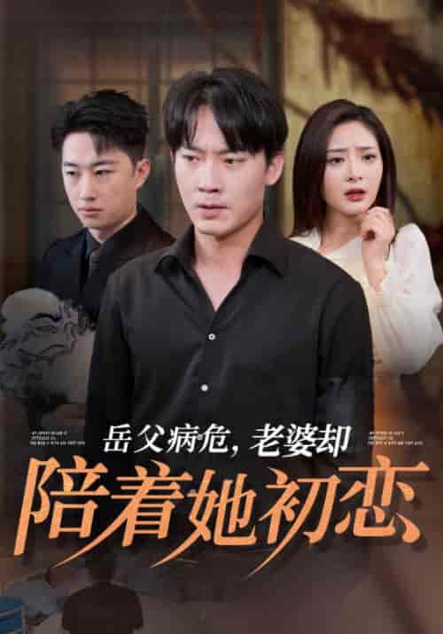 岳父病危，老婆却陪着她初恋（31集全）陆峰白＆宋绮梦 - 海之城短剧