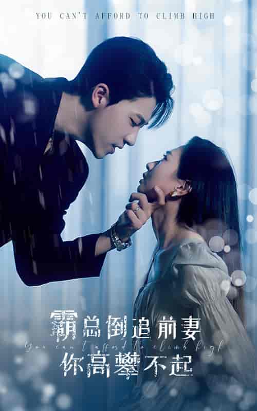 霸总倒追前妻你高攀不起（81集）鲍芝悦 - 海之城短剧