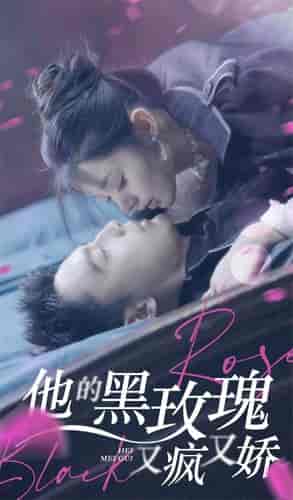 他的黑玫瑰又疯又娇（81集） - 海之城短剧