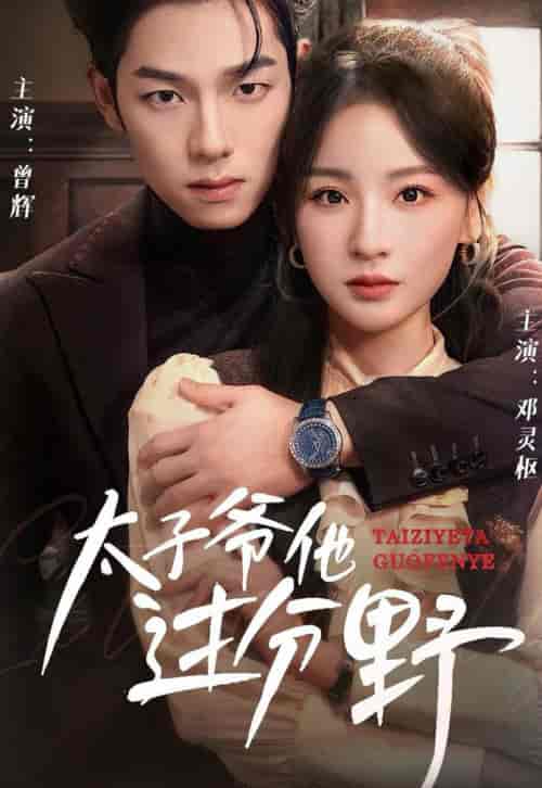 他过分野＆太子爷他过分野（73集全）曾辉＆邓灵枢 - 海之城短剧