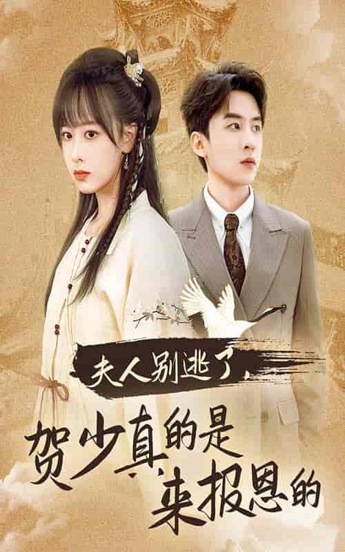夫人别逃了贺少真的是来报恩的（63集全） - 海之城短剧