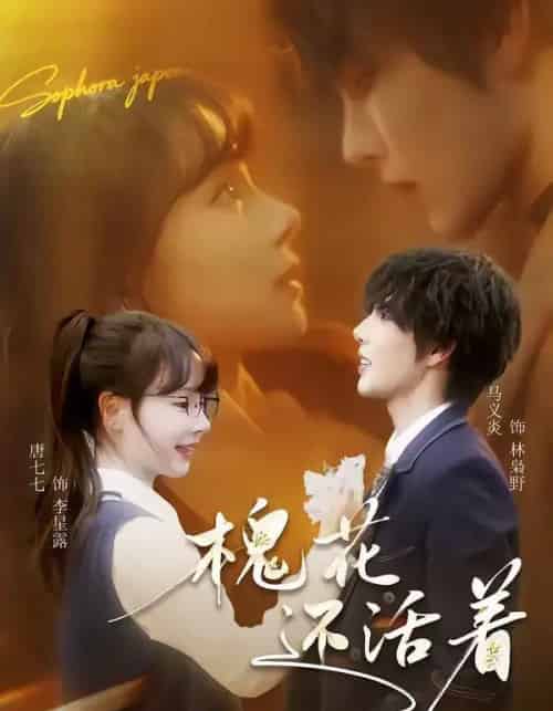 槐花还活着（70集全）马义炎＆唐七七-海之城短剧项目