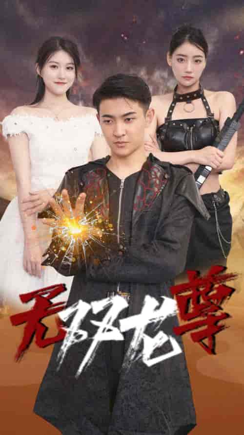 无双龙尊（58集） - 海之城短剧