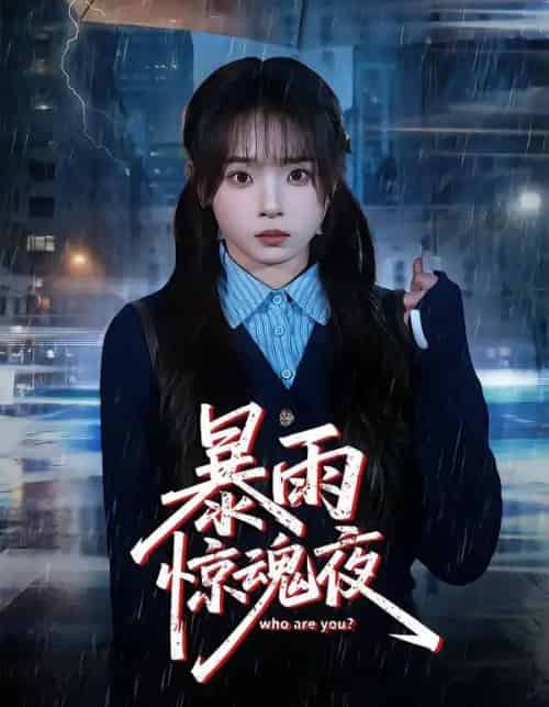 暴雨惊魂夜（49集全）陈舒宜＆咸俊旭-海之城短剧项目