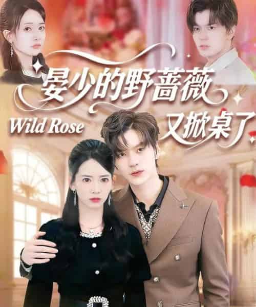 晏少的野蔷薇又掀桌了（120集全）张嘉松＆刘姝妤-海之城短剧项目
