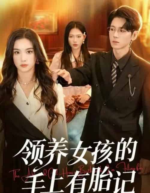 领养女孩的手上有胎记（60集全）王宇婧＆刘君尧-海之城短剧项目